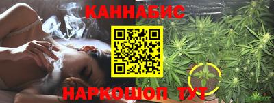 spice Кингисепп